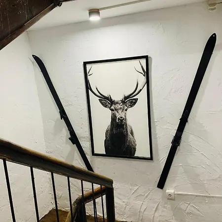 Maison Del Arc * ハカ