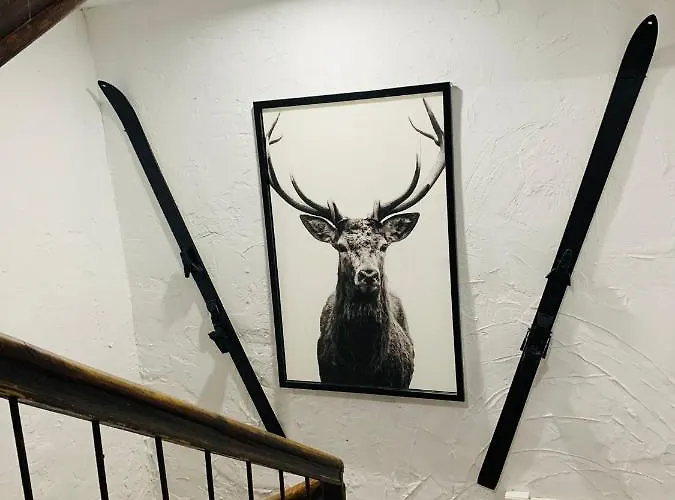 Maison Del Arc 3* 하카